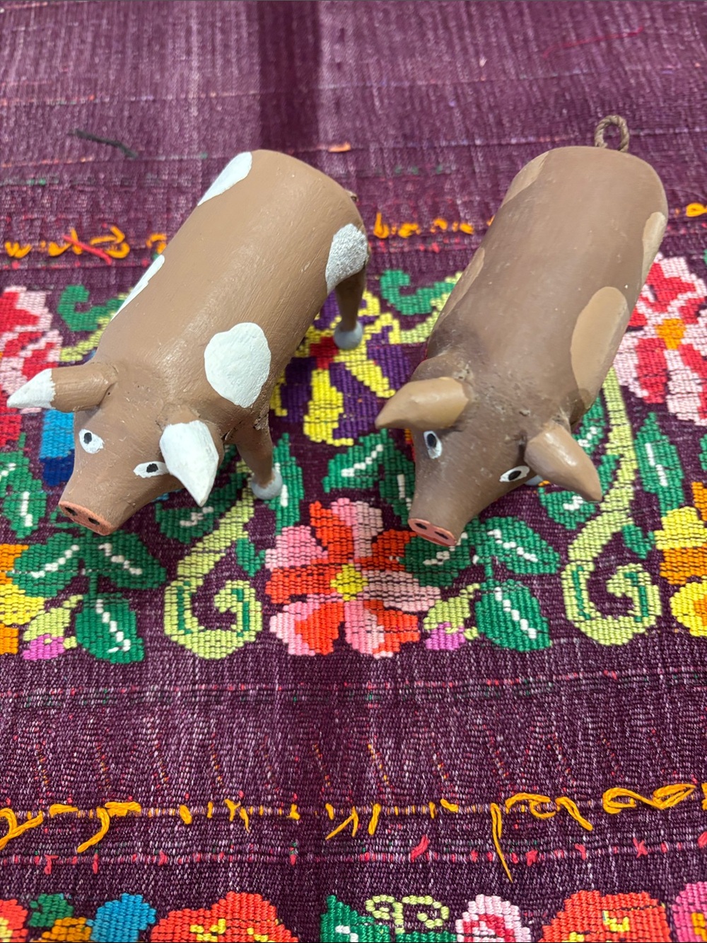 Two New Mexican pigs